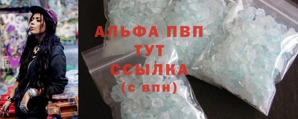 спиды Ладушкин