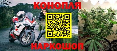 шишки Краснокаменск