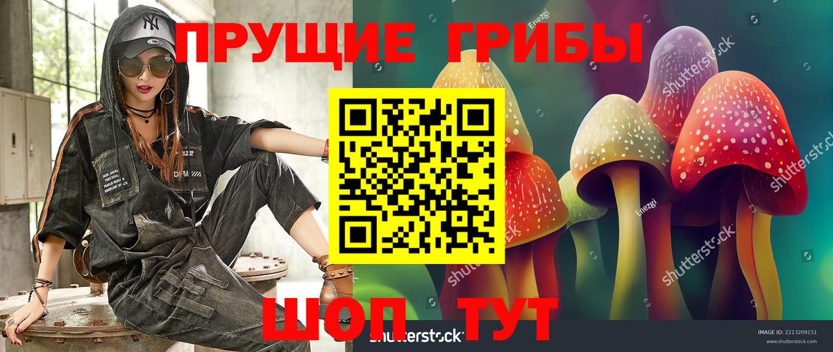 Псилоцибиновые грибы ЛСД  купить  сайты  Красноярск  Вход с VPN 