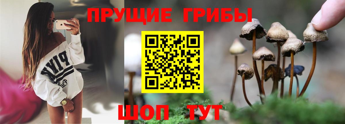Галлюциногенные грибы GOLDEN TEACHER Красноярск